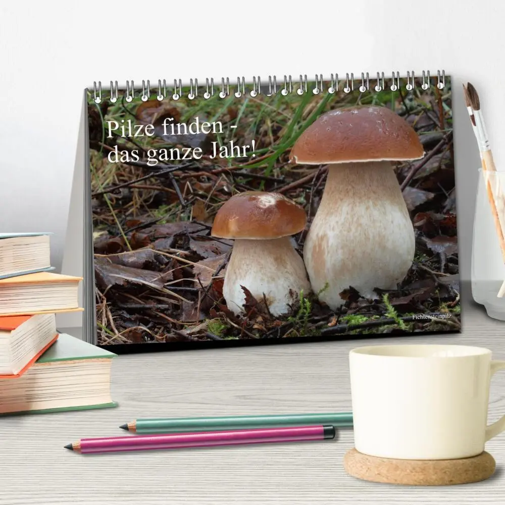 Bild: 9783435257898 | Pilze finden - das ganze Jahr! (Tischkalender 2025 DIN A5 quer),...