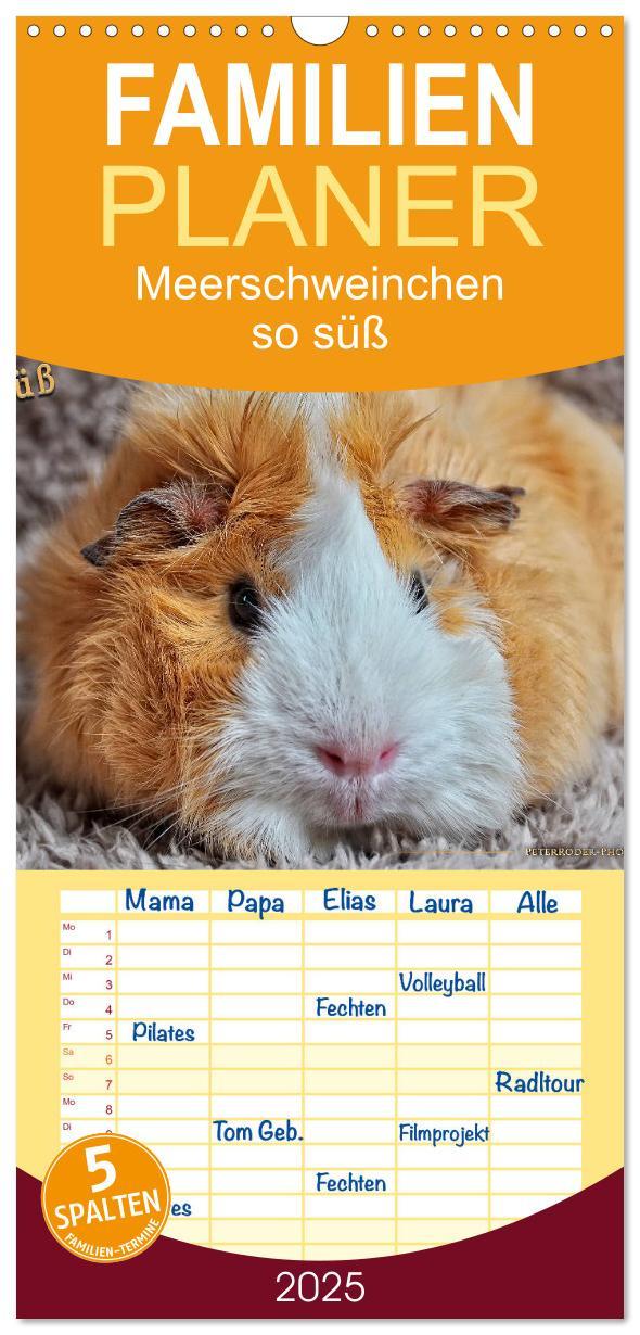 Cover: 9783457107898 | Familienplaner 2025 - Meerschweinchen - so süß mit 5 Spalten...