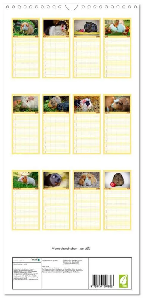 Bild: 9783457107898 | Familienplaner 2025 - Meerschweinchen - so süß mit 5 Spalten...