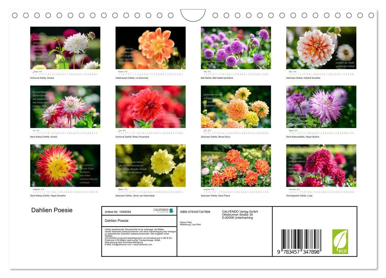 Bild: 9783457347898 | Dahlien Poesie (Wandkalender 2026 DIN A4 quer), CALVENDO...