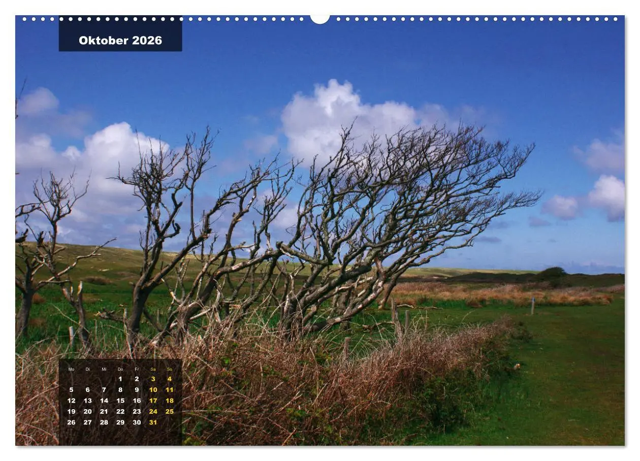 Bild: 9783457727898 | Texel Insel mit Charakter (hochwertiger Premium Wandkalender 2026...