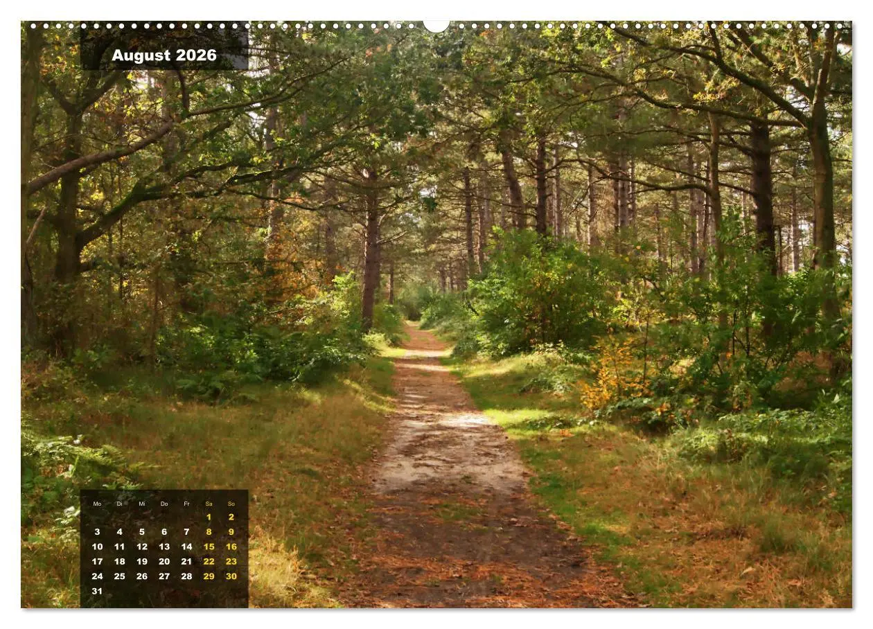 Bild: 9783457727898 | Texel Insel mit Charakter (hochwertiger Premium Wandkalender 2026...
