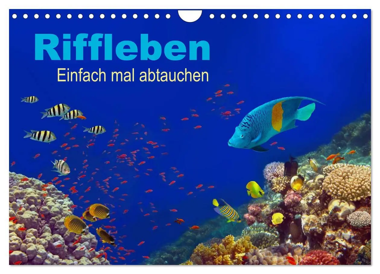 Cover: 9783516057898 | Riffleben - Einfach mal abtauchen (Wandkalender 2026 DIN A4 quer),...