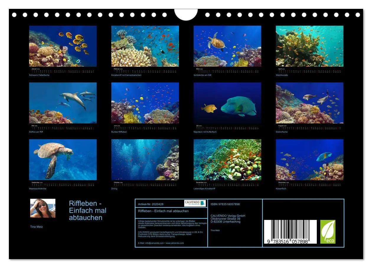 Bild: 9783516057898 | Riffleben - Einfach mal abtauchen (Wandkalender 2026 DIN A4 quer),...