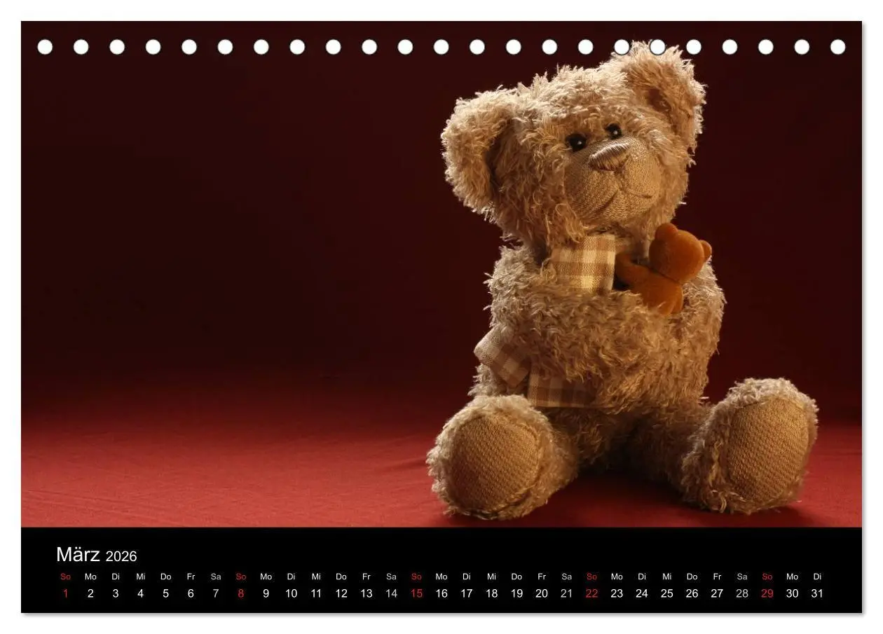 Bild: 9783516127898 | Herr Nopf ist da! (Tischkalender 2026 DIN A5 quer), CALVENDO...