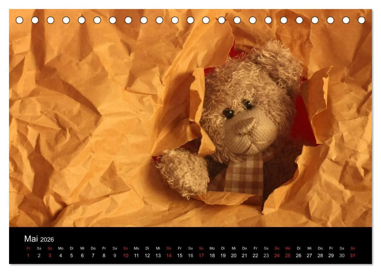 Bild: 9783516127898 | Herr Nopf ist da! (Tischkalender 2026 DIN A5 quer), CALVENDO...