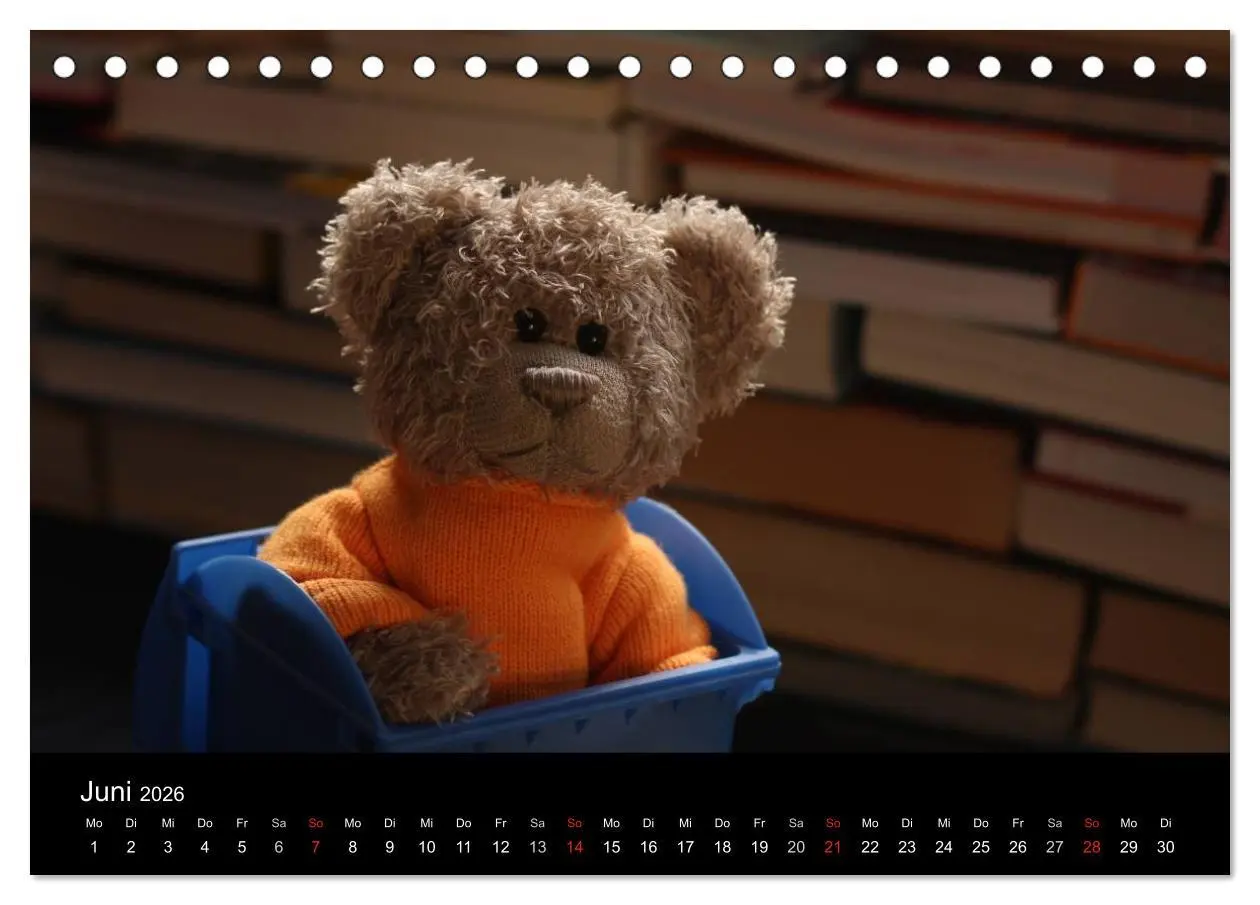 Bild: 9783516127898 | Herr Nopf ist da! (Tischkalender 2026 DIN A5 quer), CALVENDO...
