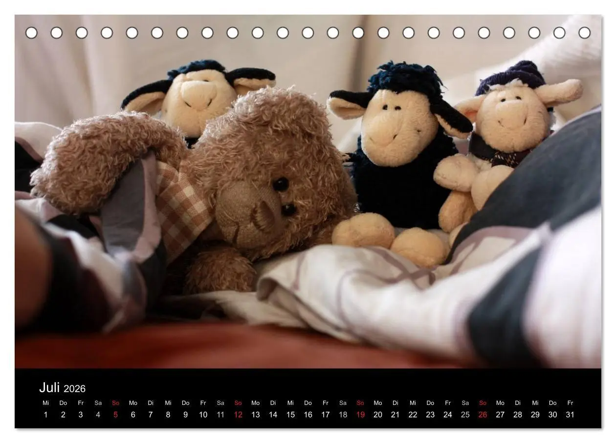 Bild: 9783516127898 | Herr Nopf ist da! (Tischkalender 2026 DIN A5 quer), CALVENDO...