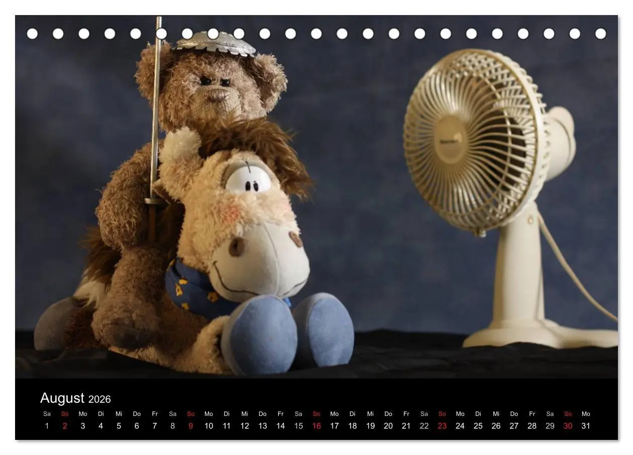 Bild: 9783516127898 | Herr Nopf ist da! (Tischkalender 2026 DIN A5 quer), CALVENDO...