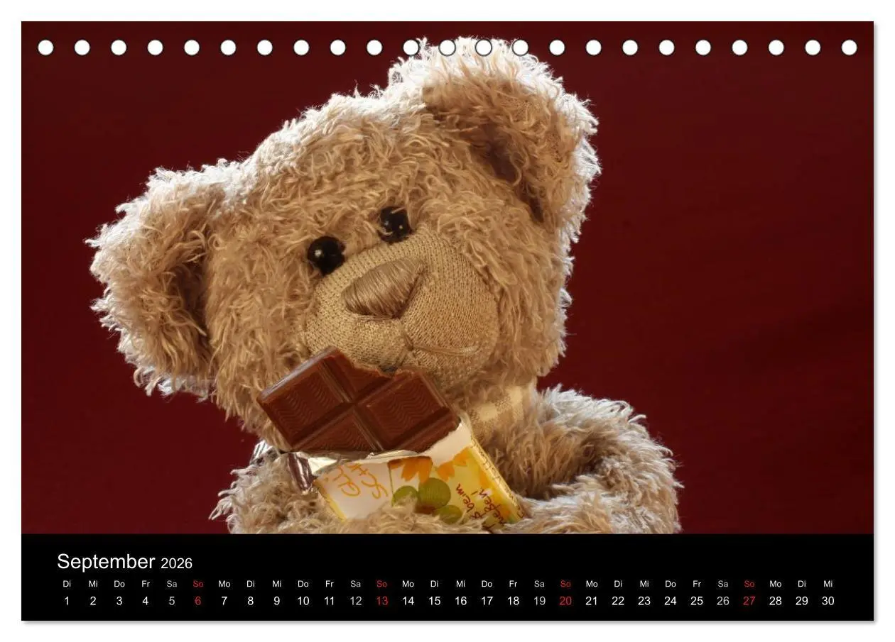 Bild: 9783516127898 | Herr Nopf ist da! (Tischkalender 2026 DIN A5 quer), CALVENDO...