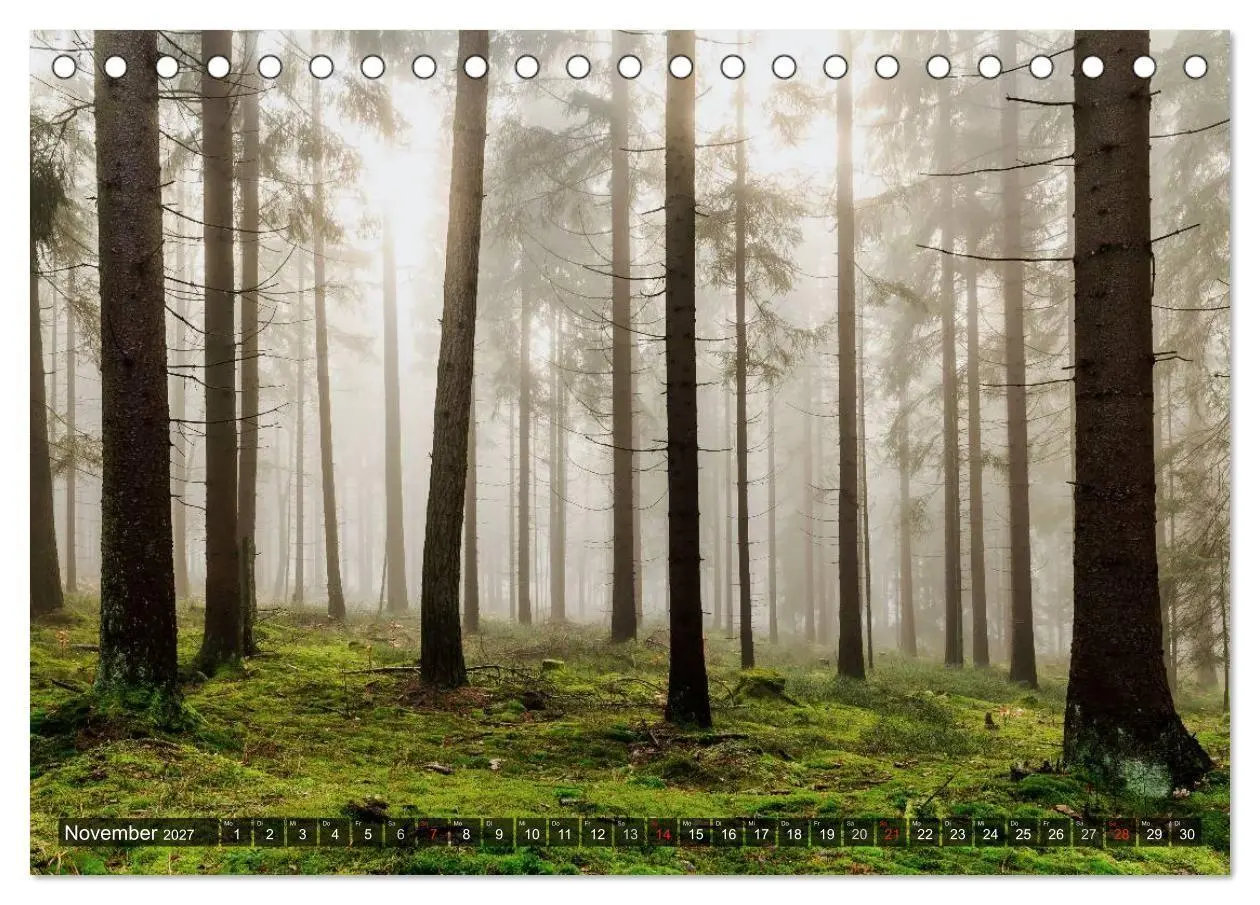Bild: 9783569907898 | Zauberhaftes Fichtelgebirge (Tischkalender 2027 DIN A5 quer),...