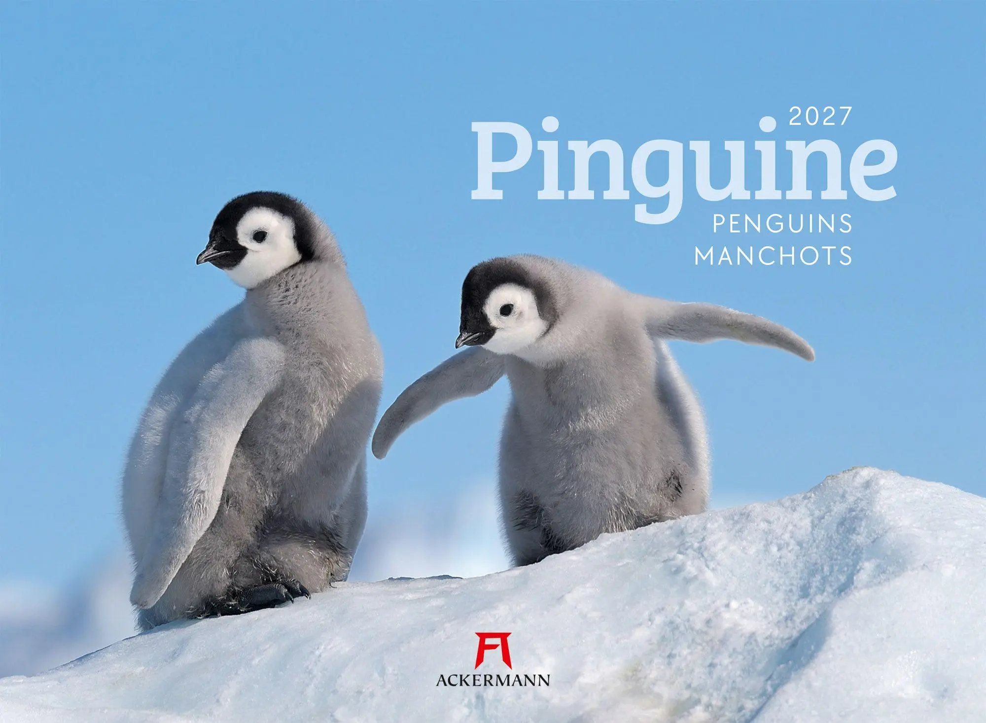 Cover: 9783838427898 | Pinguine Kalender 2027 | Ackermann Kunstverlag GmbH | Kalender | 14 S.