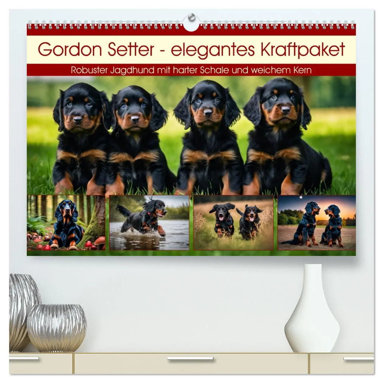 Cover: 9783457407998 | Gordon Setter - elegantes Kraftpaket (hochwertiger Premium...