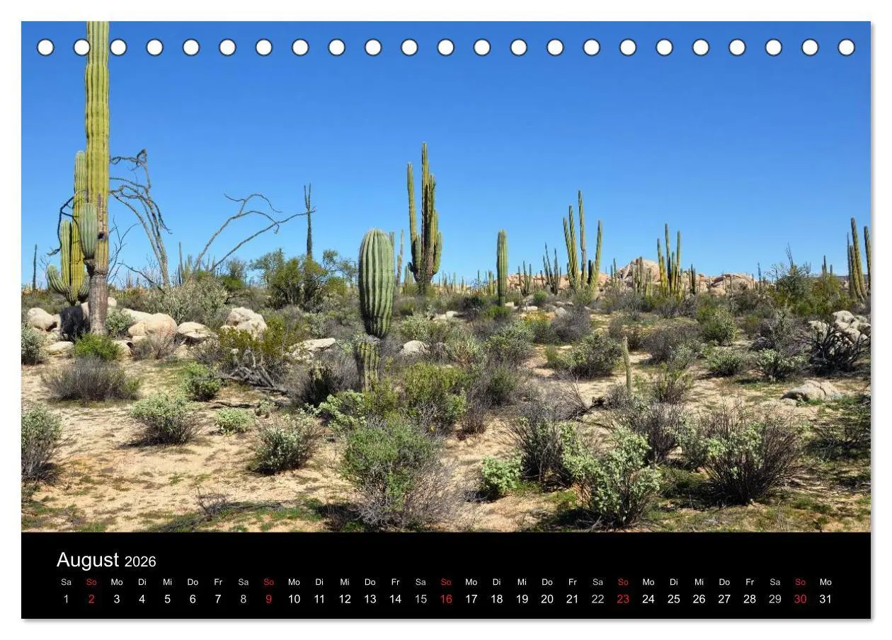 Bild: 9783516117998 | Baja California - Impressionen der mexikanischen Halbinsel...