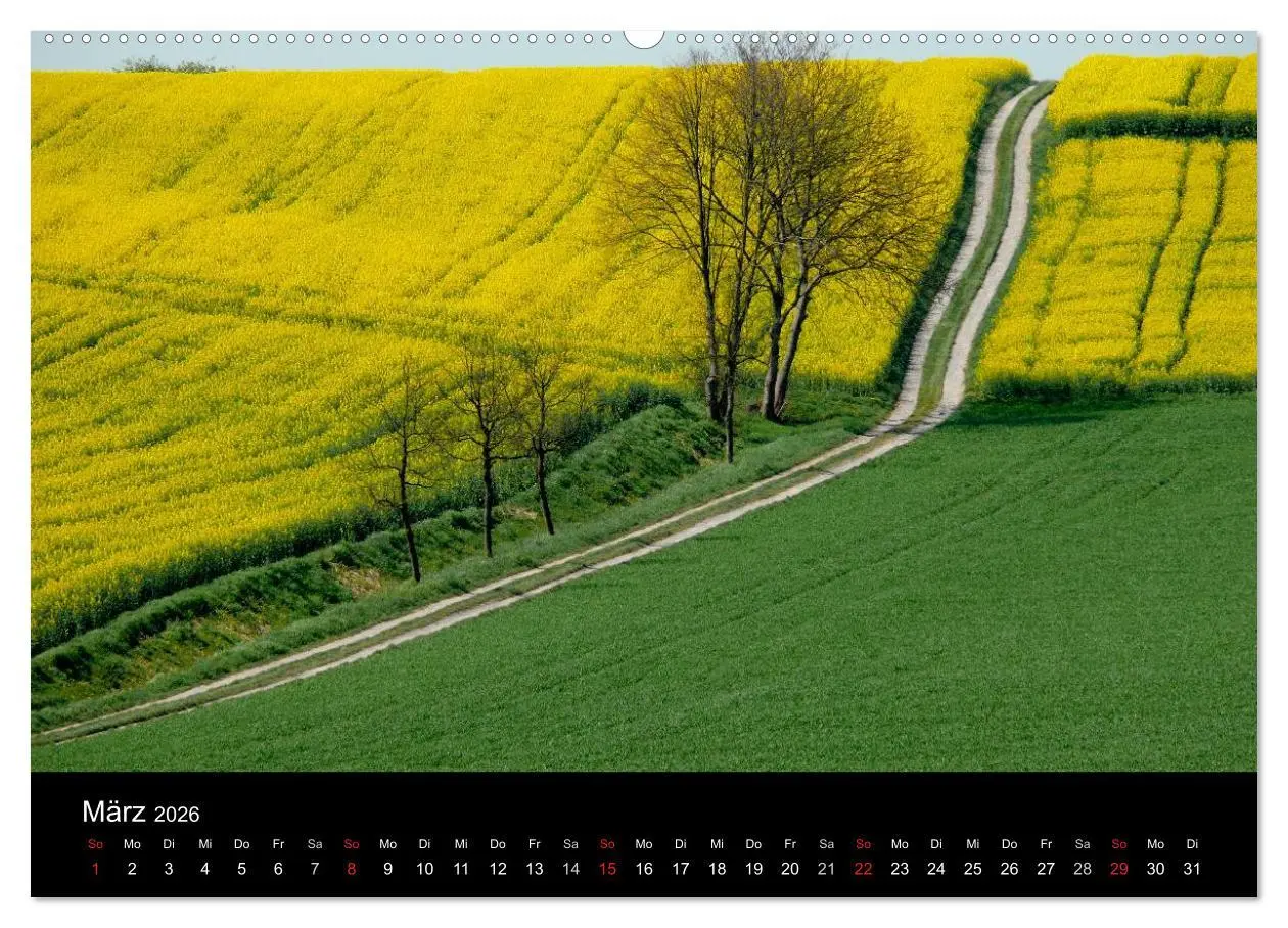 Bild: 9783516178098 | Wege 2026 (hochwertiger Premium Wandkalender 2026 DIN A2 quer),...