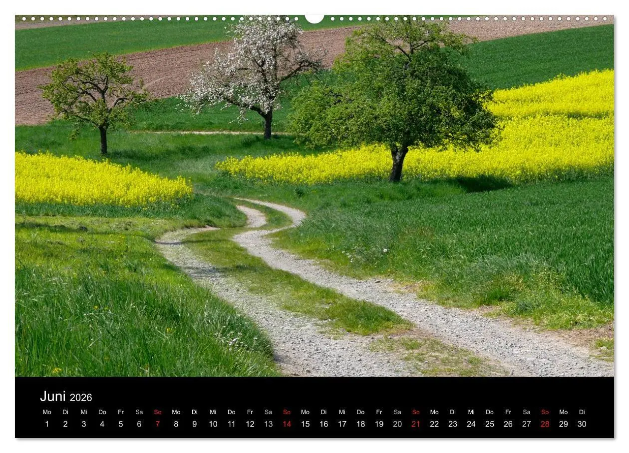 Bild: 9783516178098 | Wege 2026 (hochwertiger Premium Wandkalender 2026 DIN A2 quer),...