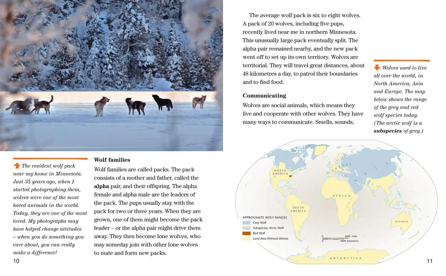 Bild: 9780008358198 | Face to Face with Wolves | Level 6 | Jim Brandenburg (u. a.) | Buch