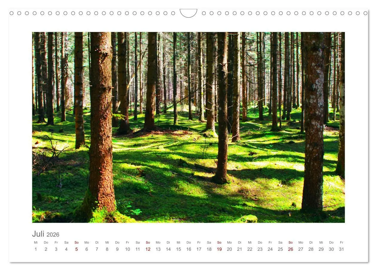 Bild: 9783457528198 | Mein Barmsee - Rund um die Perle im Werdenfelser Land (Wandkalender...
