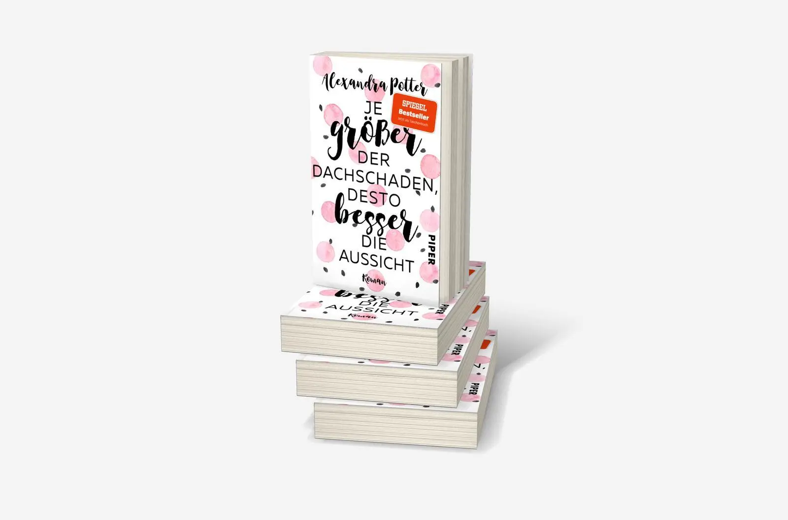 Bild: 9783492318198 | Je größer der Dachschaden, desto besser die Aussicht | Potter | Buch