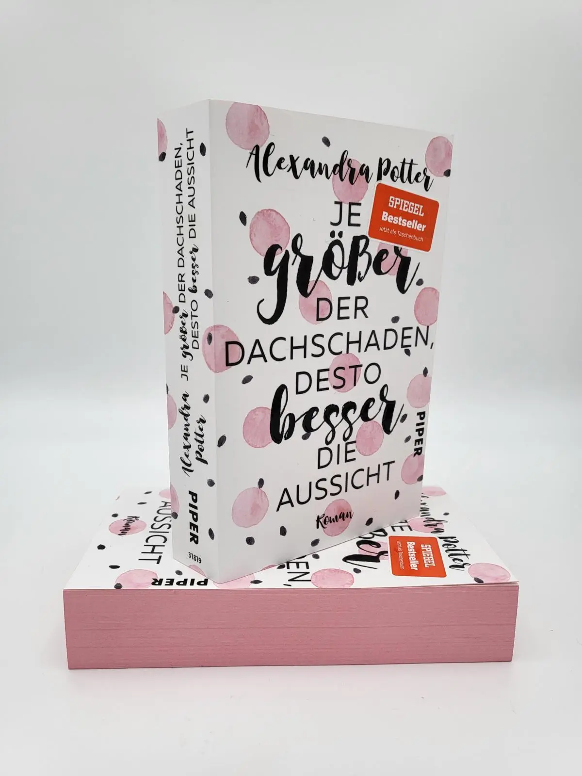 Bild: 9783492318198 | Je größer der Dachschaden, desto besser die Aussicht | Potter | Buch