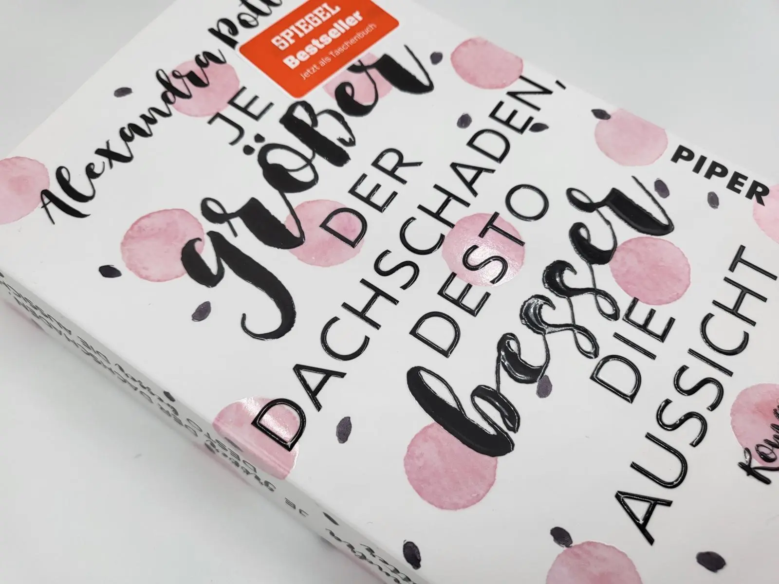 Bild: 9783492318198 | Je größer der Dachschaden, desto besser die Aussicht | Potter | Buch