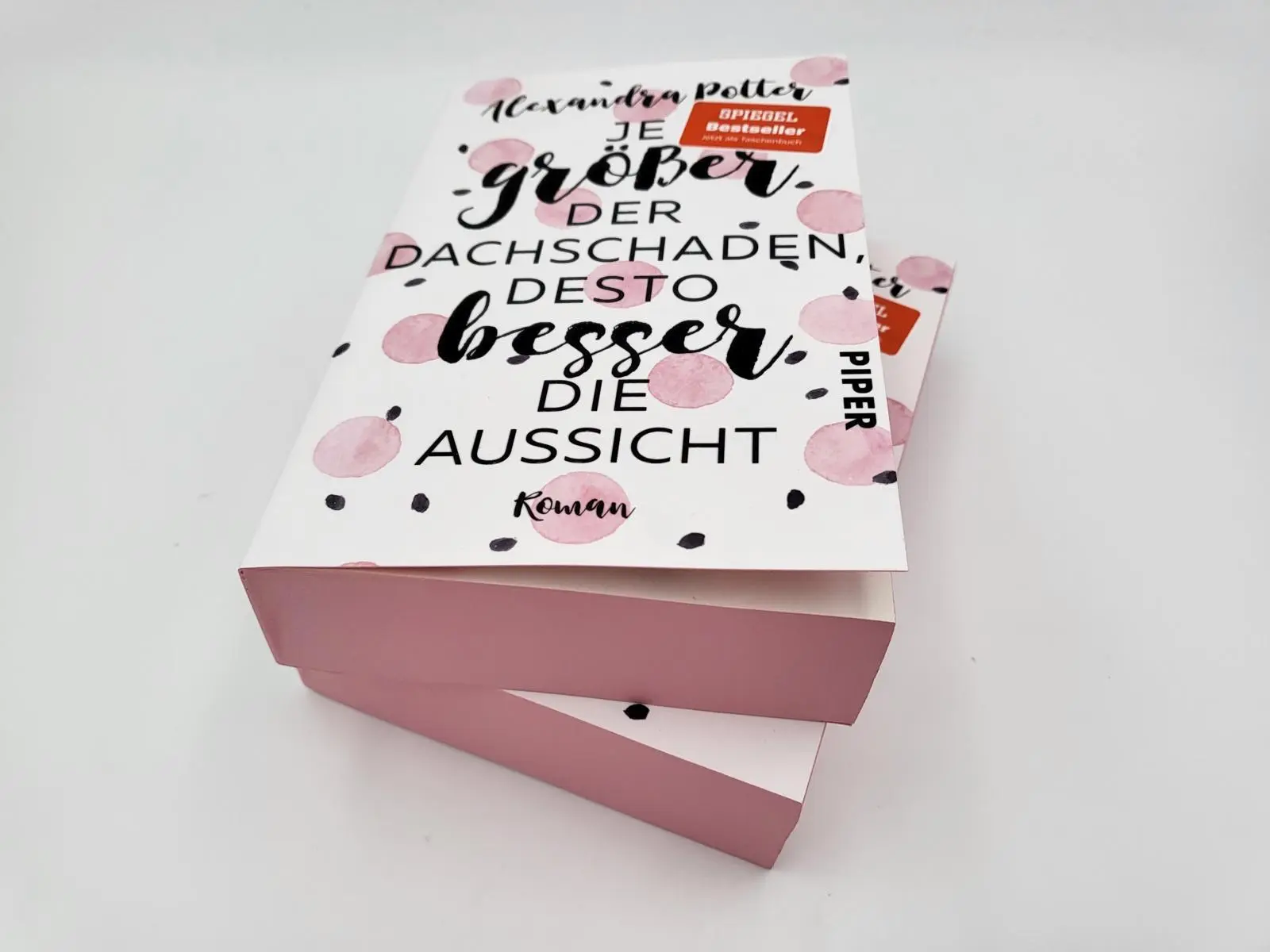 Bild: 9783492318198 | Je größer der Dachschaden, desto besser die Aussicht | Potter | Buch