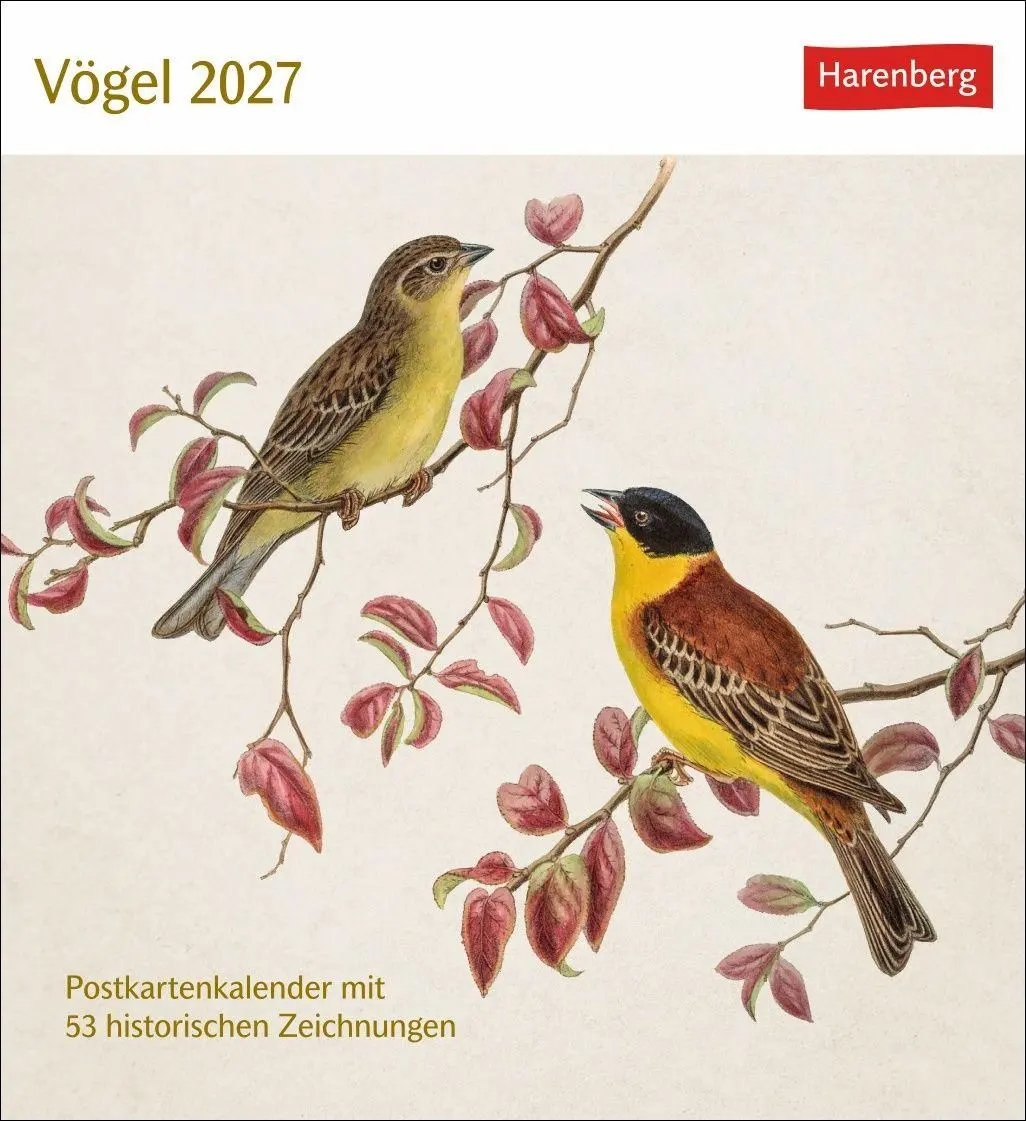 Cover: 9783840038198 | Vögel Postkartenkalender 2027 - Postkartenkalender mit 53...