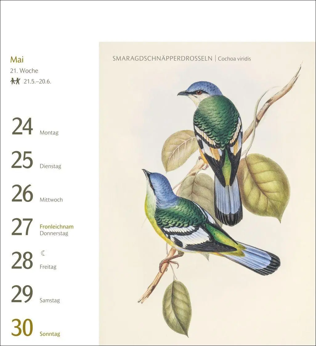 Bild: 9783840038198 | Vögel Postkartenkalender 2027 - Postkartenkalender mit 53...