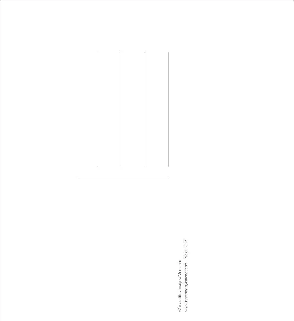 Bild: 9783840038198 | Vögel Postkartenkalender 2027 - Postkartenkalender mit 53...