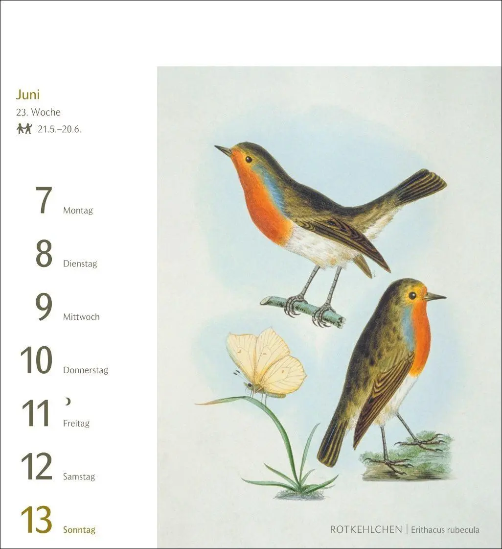 Bild: 9783840038198 | Vögel Postkartenkalender 2027 - Postkartenkalender mit 53...