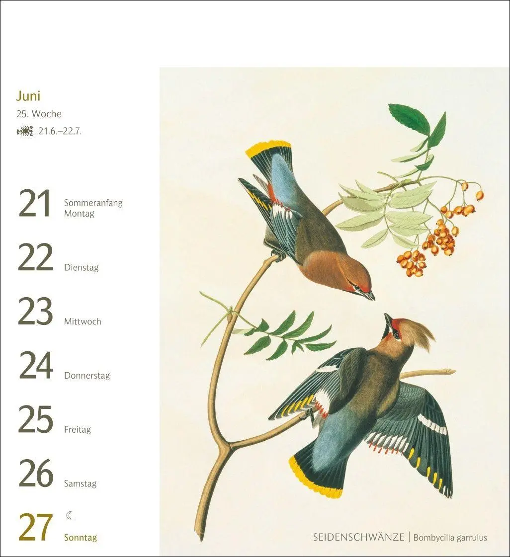 Bild: 9783840038198 | Vögel Postkartenkalender 2027 - Postkartenkalender mit 53...