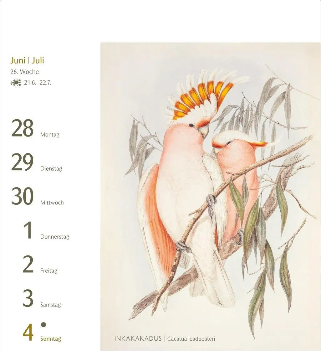 Bild: 9783840038198 | Vögel Postkartenkalender 2027 - Postkartenkalender mit 53...