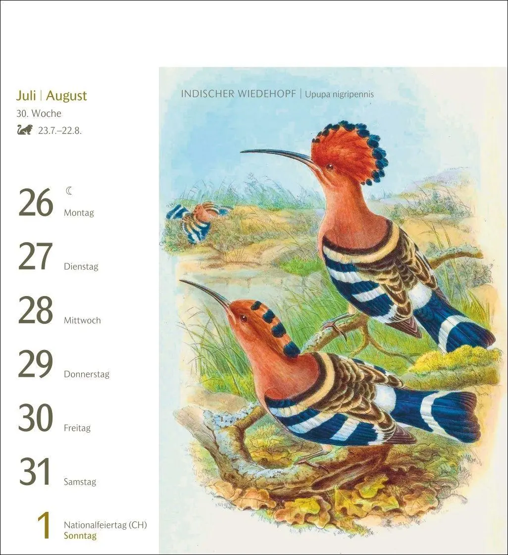 Bild: 9783840038198 | Vögel Postkartenkalender 2027 - Postkartenkalender mit 53...