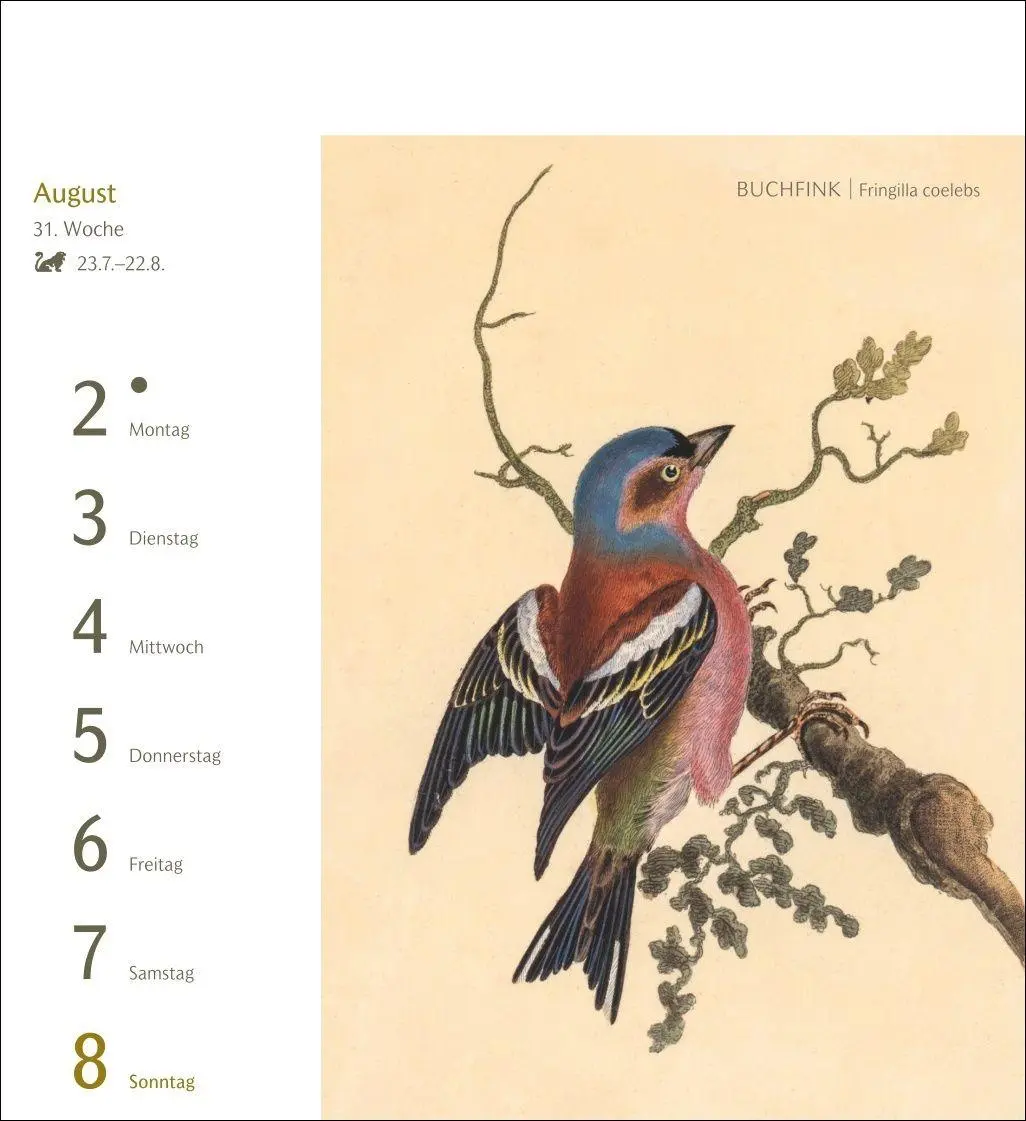 Bild: 9783840038198 | Vögel Postkartenkalender 2027 - Postkartenkalender mit 53...