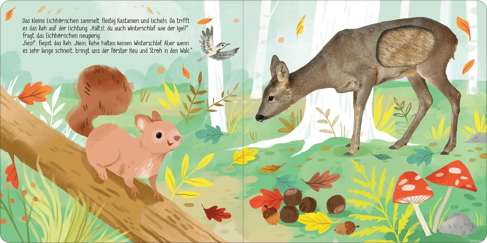 Bild: 9783845848198 | Hör mal, kleines Eichhörnchen! | Streicheln und hören | Selbert | Buch