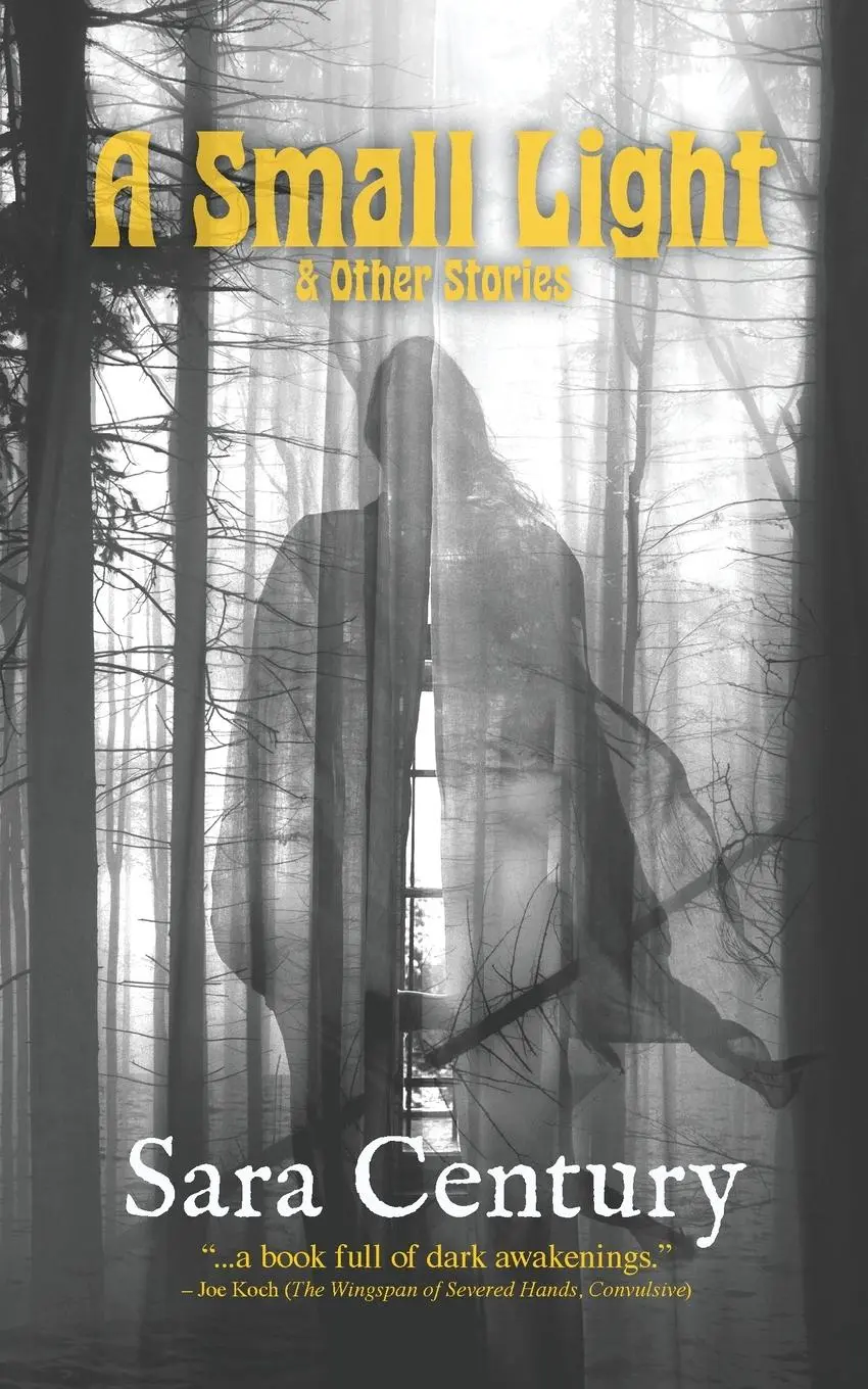 Cover: 9781951658298 | A Small Light &amp; Other Stories | Sara Century | Taschenbuch | Englisch