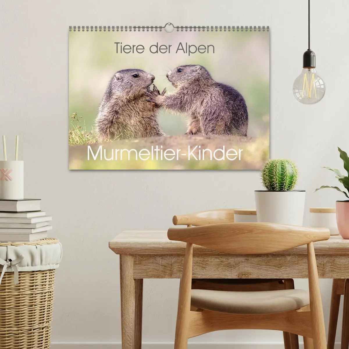 Bild: 9783457378298 | Tiere der Alpen - Murmeltier-Kinder (Wandkalender 2026 DIN A3...