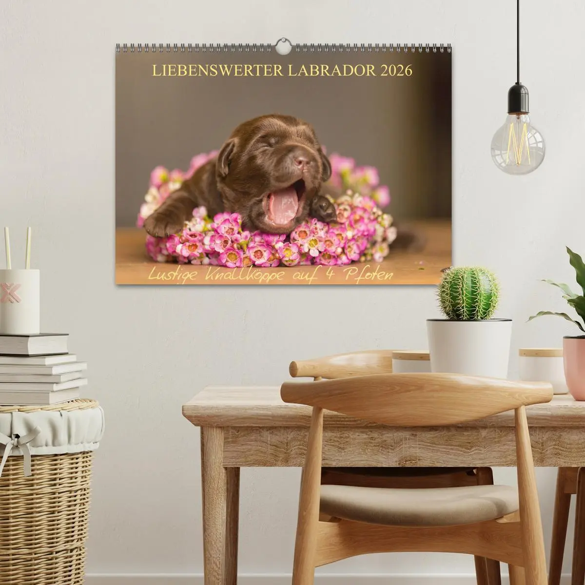 Bild: 9783457998298 | Liebenswerter Labrador 2026 (Wandkalender 2026 DIN A3 quer),...