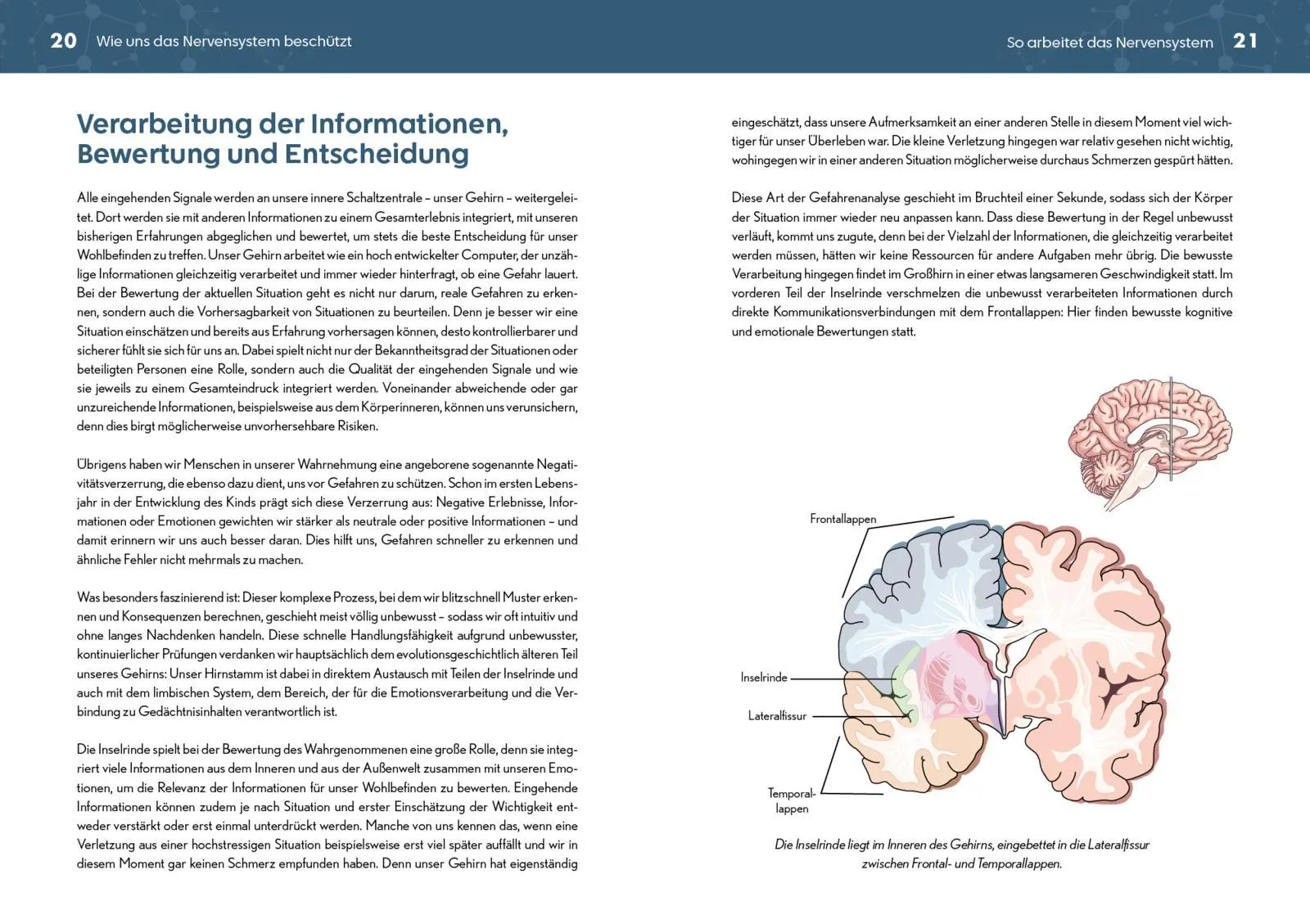 Bild: 9783742328298 | Neurozentriertes Yoga | Mit 8 Übungssequenzen | Svenja Borchers | Buch