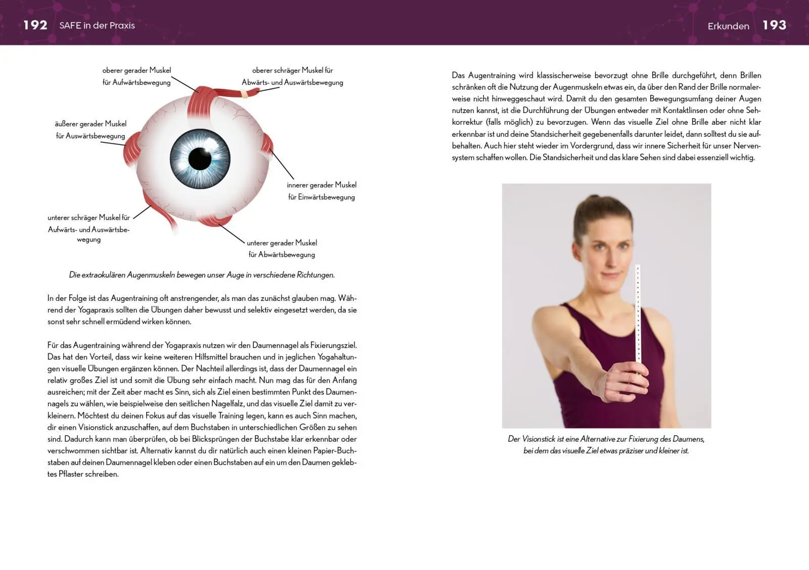 Bild: 9783742328298 | Neurozentriertes Yoga | Mit 8 Übungssequenzen | Svenja Borchers | Buch
