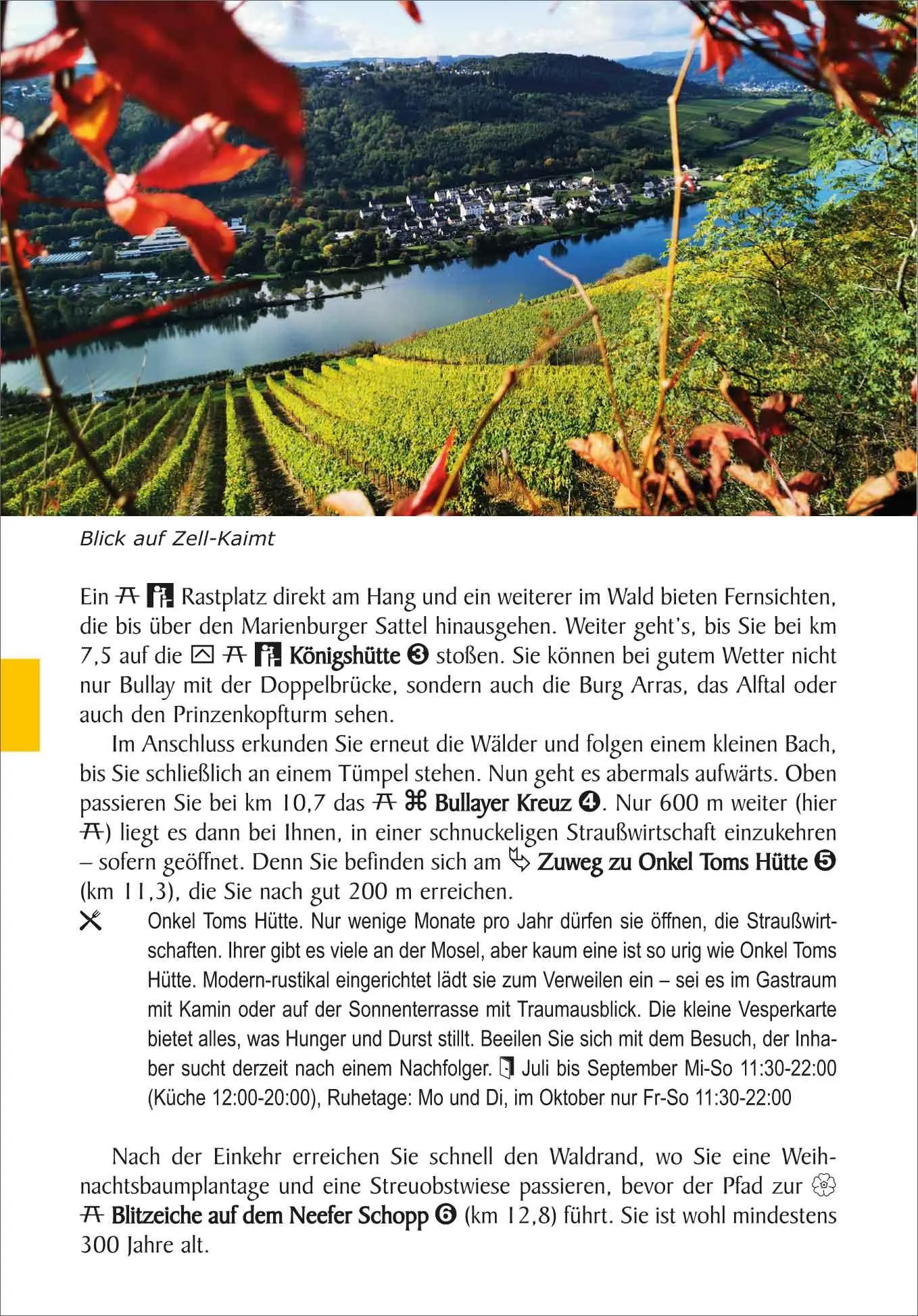 Bild: 9783866868298 | Moselsteig von Perl nach Koblenz | Iris Schulte Renger | Taschenbuch