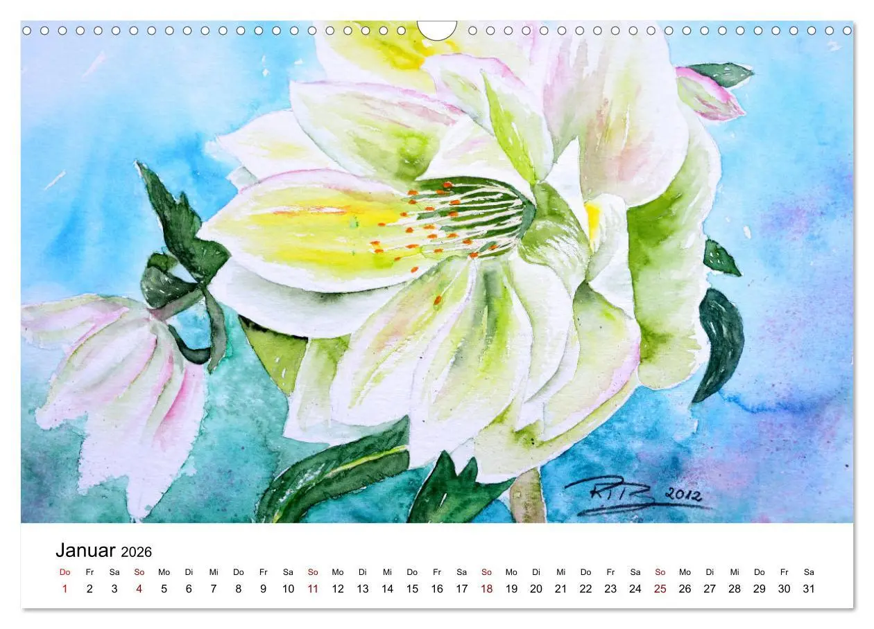 Bild: 9783457438398 | Blumen-Aquarelle (Wandkalender 2026 DIN A3 quer), CALVENDO...