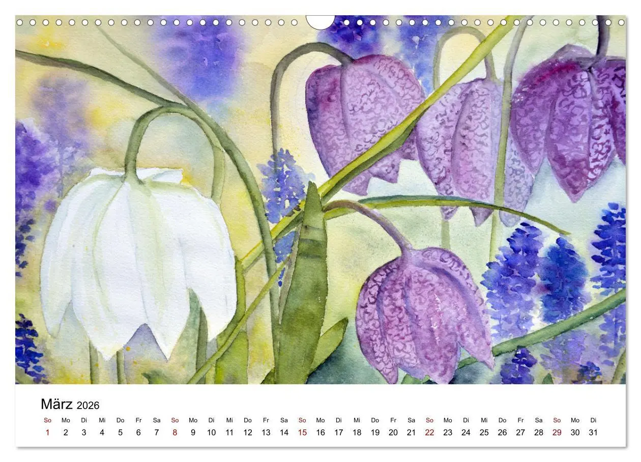 Bild: 9783457438398 | Blumen-Aquarelle (Wandkalender 2026 DIN A3 quer), CALVENDO...