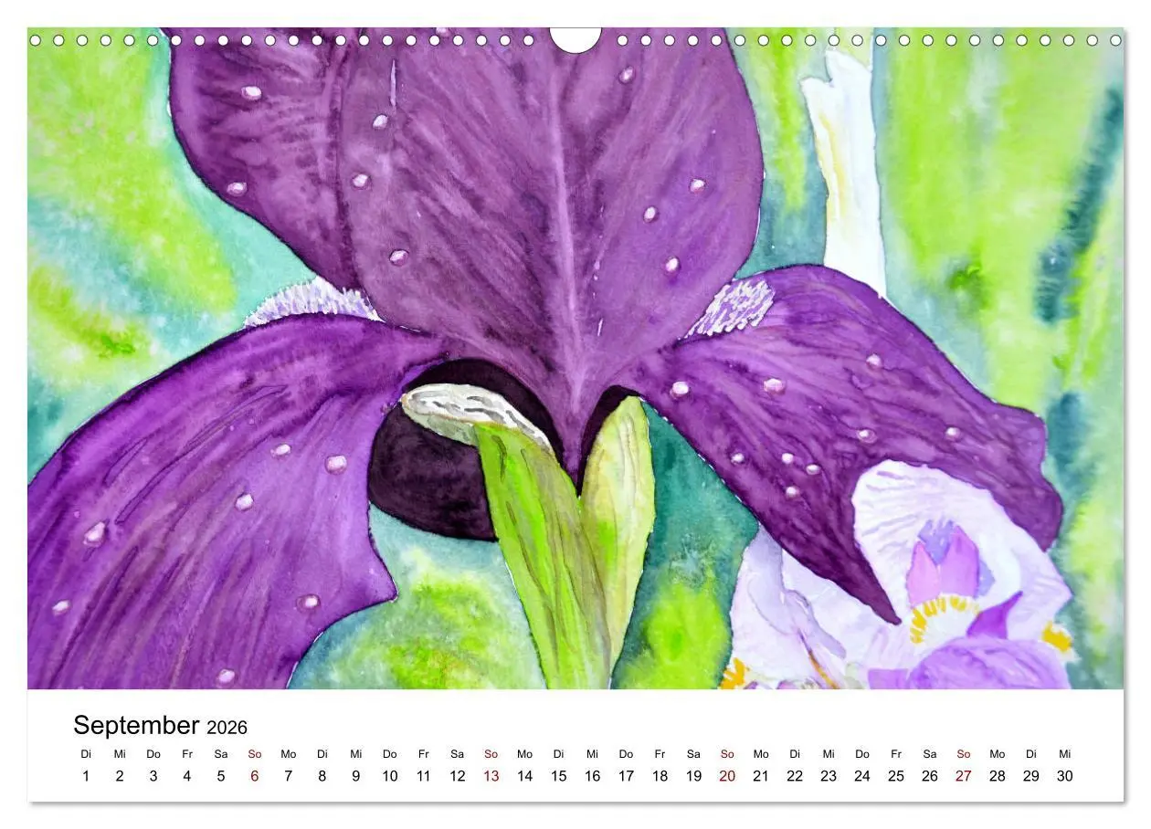 Bild: 9783457438398 | Blumen-Aquarelle (Wandkalender 2026 DIN A3 quer), CALVENDO...