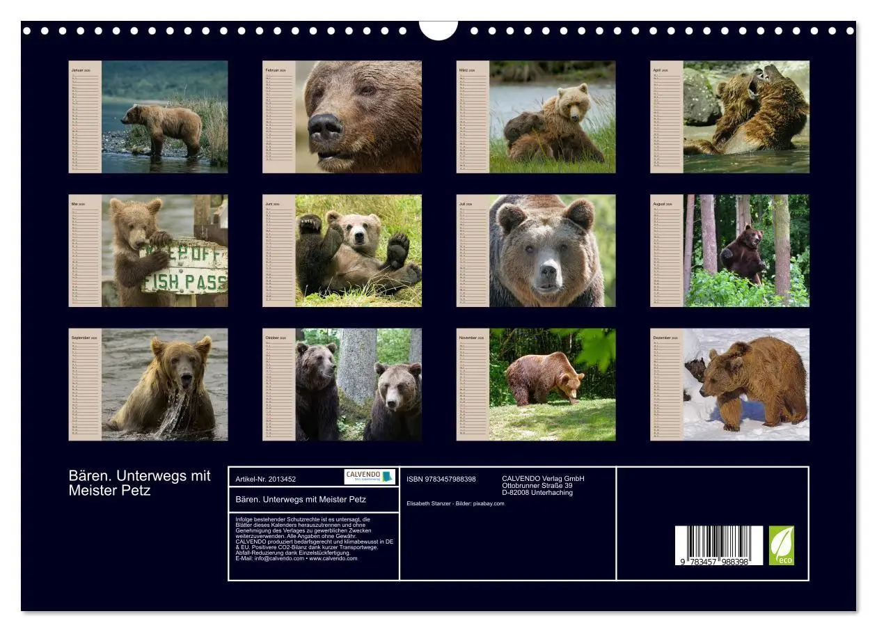 Bild: 9783457988398 | Bären. Unterwegs mit Meister Petz (Wandkalender 2026 DIN A3 quer),...