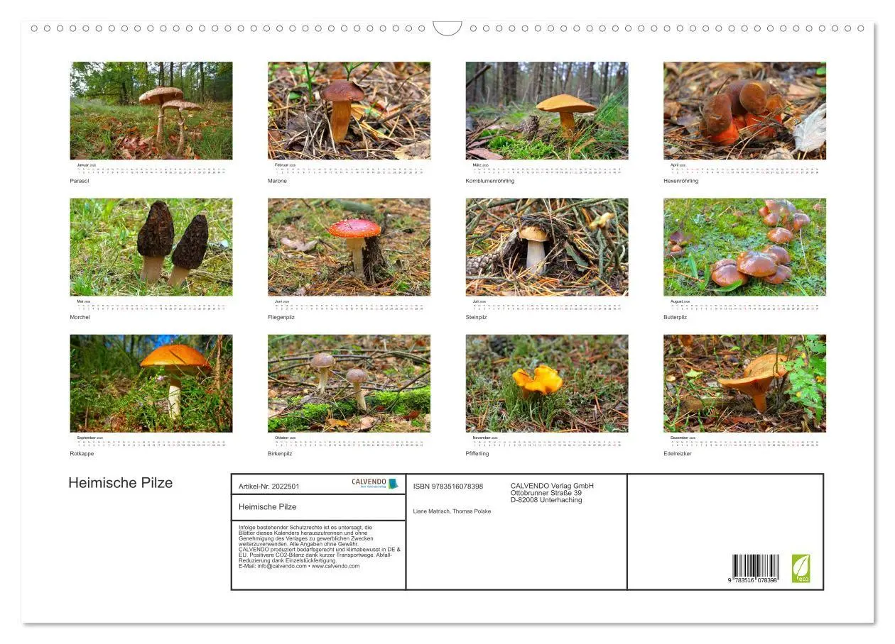 Bild: 9783516078398 | Heimische Pilze (Wandkalender 2026 DIN A2 quer), CALVENDO...