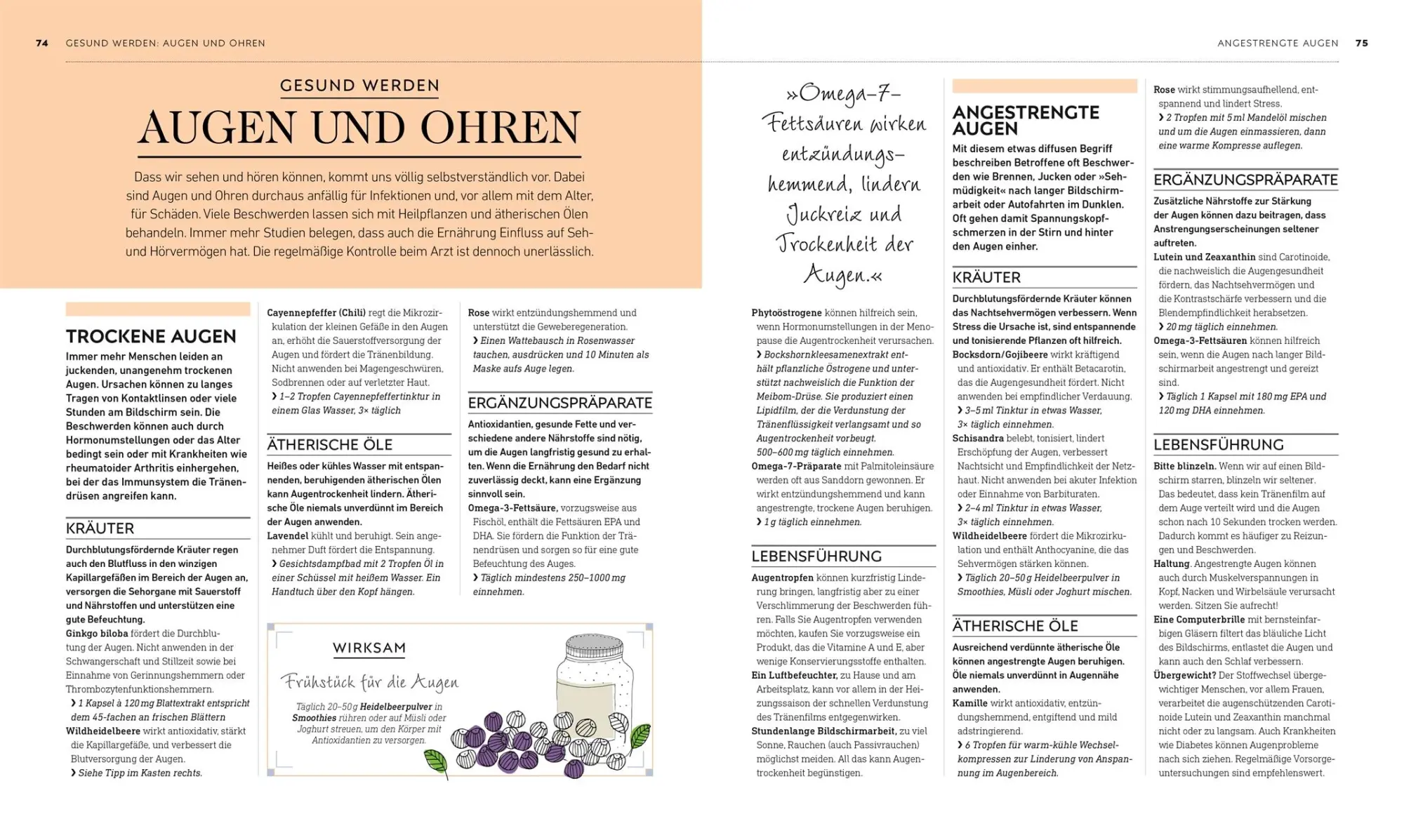 Bild: 9783831038398 | Die grüne Hausapotheke | DK Verlag | Buch | mit Folienprägung | 304 S.