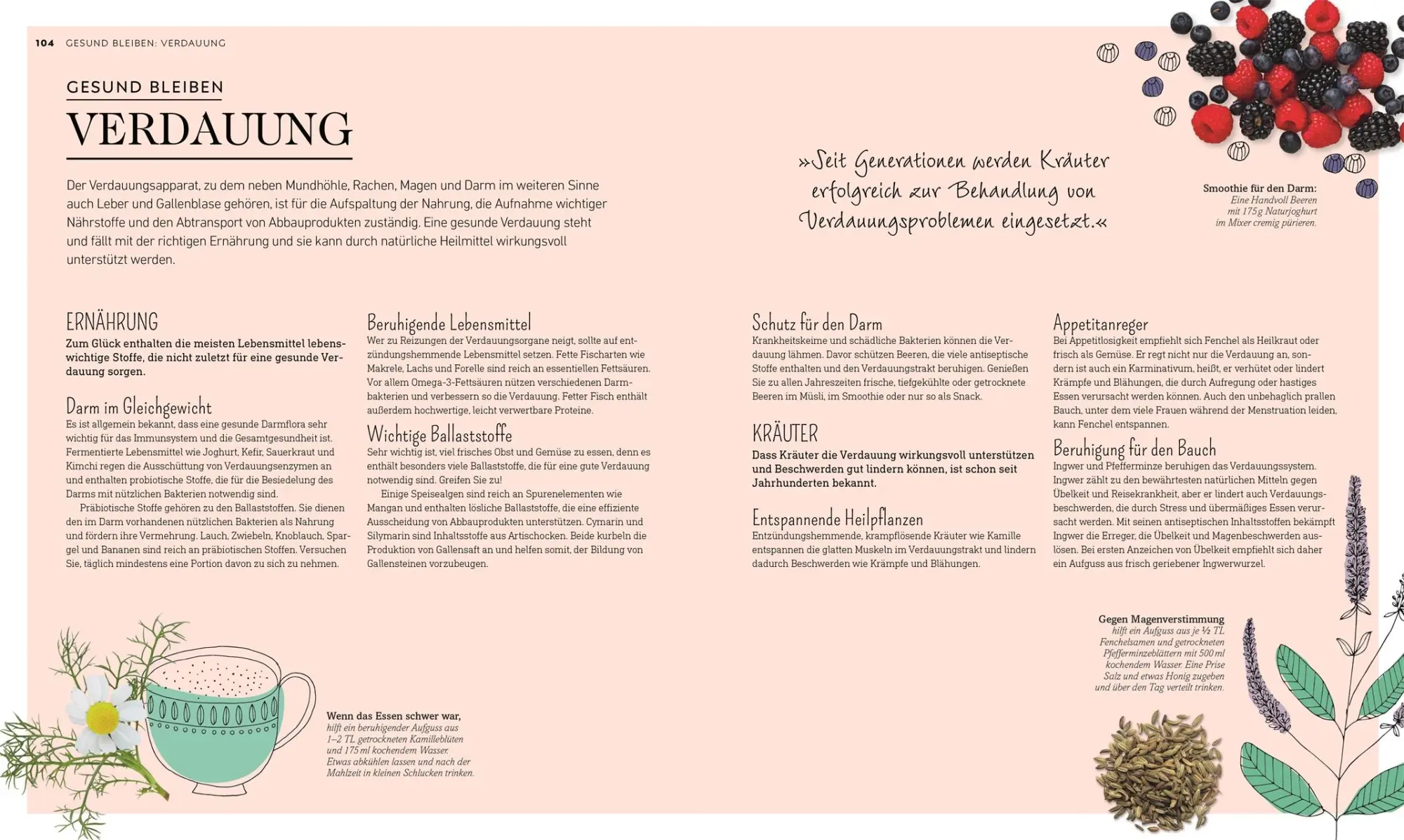 Bild: 9783831038398 | Die grüne Hausapotheke | DK Verlag | Buch | mit Folienprägung | 304 S.