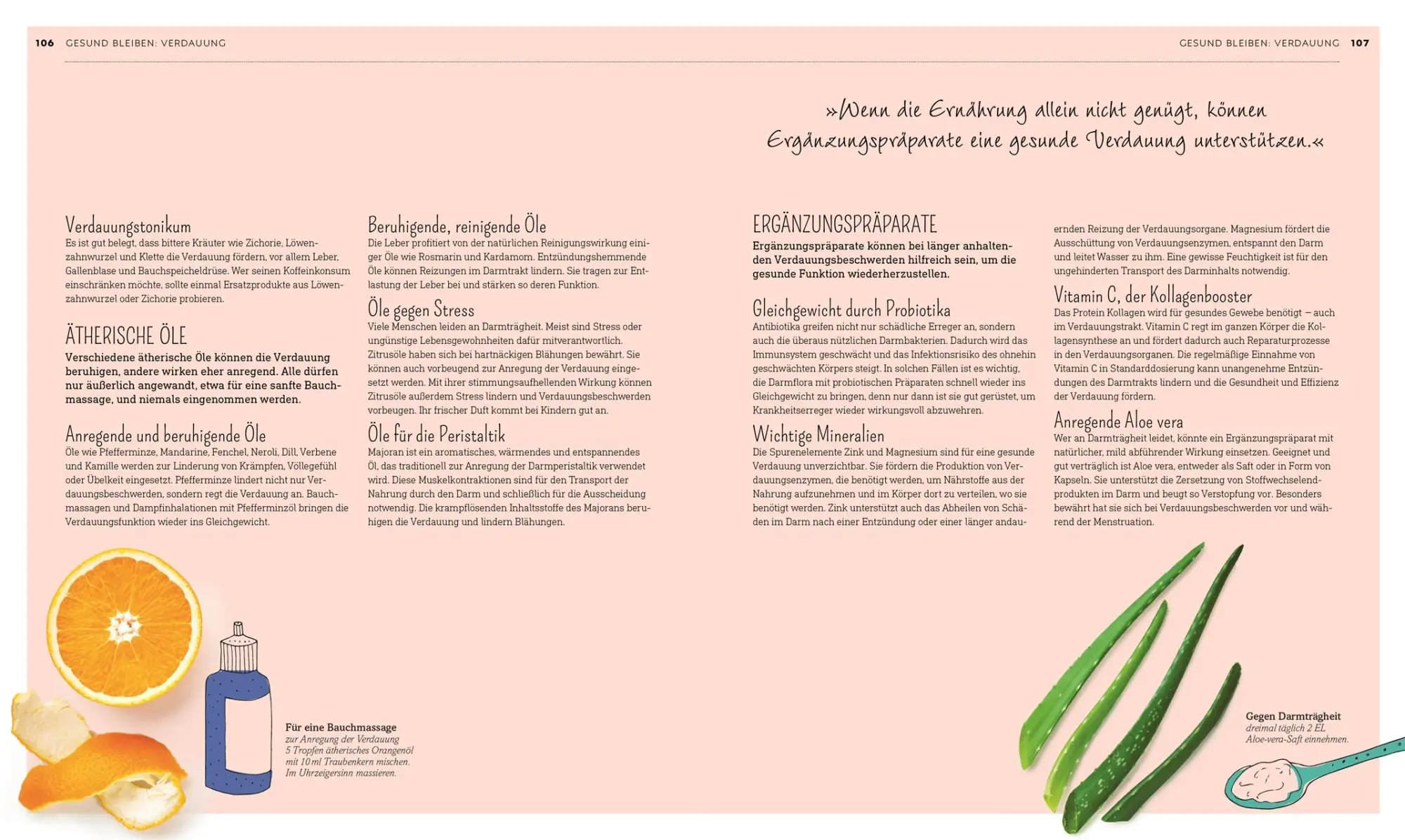 Bild: 9783831038398 | Die grüne Hausapotheke | DK Verlag | Buch | mit Folienprägung | 304 S.