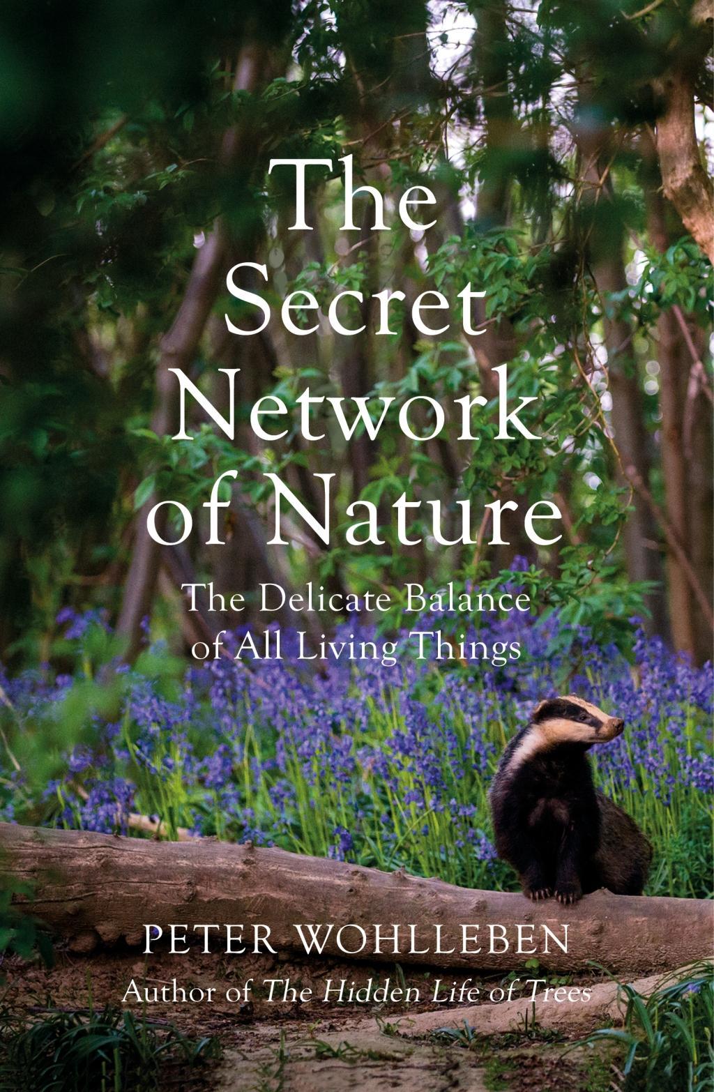 Cover: 9781784708498 | The Secret Network of Nature | Peter Wohlleben | Taschenbuch | 264 S.